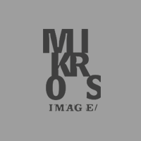 logo Mikros Image